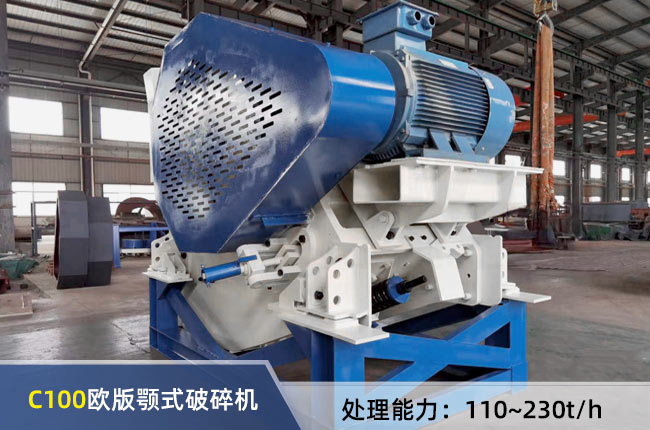 C100�ʽ����C