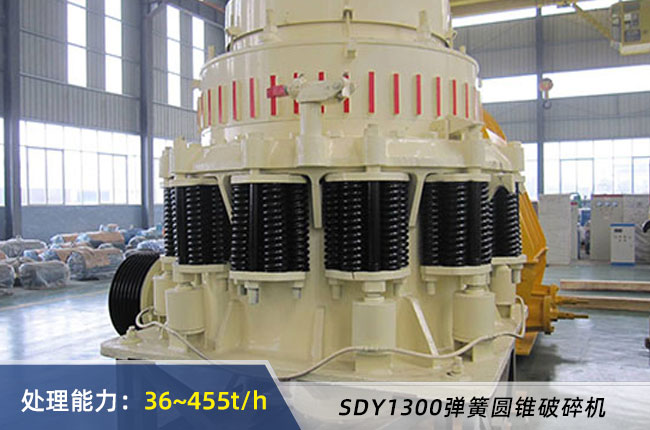 SDY1300B/D���ɈA�F����C