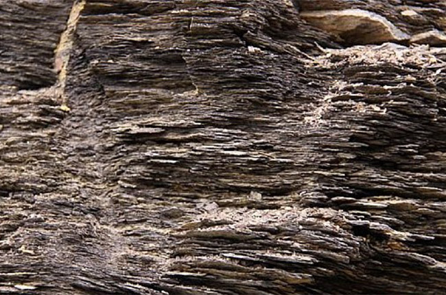 ���(y��)�r����