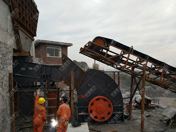 �Nʽ����C1010